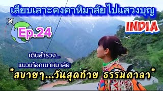 เลียบเลาะคงคาหิมาลัยไปแสวงบุญ Ep.24 สบายๆวันสุดท้ายธรรมศาลา #india #vlog #nature #dharamshala#alone