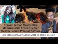 Apakah Semar Mesem Bisa Memikat Artis Korea!! Semar Mesem Sarana Pemikat Asmara