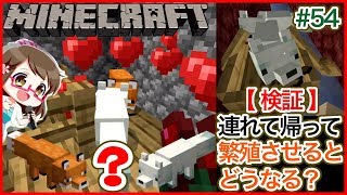 【スイッチ統合版マイクラ】#54 検証！白いキツネ拠点に連れて帰り繁殖実験。　縦割りで2人プレイ【Switch Minecraft BE】