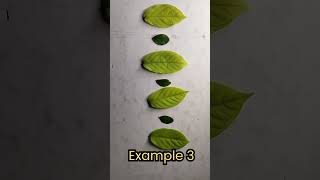 Examples of Repeating Pattern #repeat #pattern #learning #maths #shorts