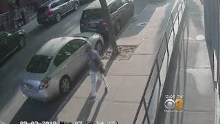 Williamsburg Attempted Rape Suspect On The Loose