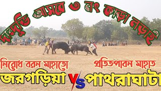 দান্দুডি আসরে ৩ নং কাড়া লড়াই //Kara larai 2022//পাথরাঘাটা v/s জরগড়িয়া