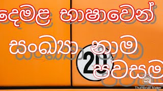 දෙමළ භාෂාවෙන් 20 සිට 40 තෙක් සංඛ්‍යා නාම පවසමුLet's say the number names in Tamil