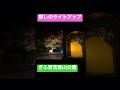 【ぎふ清流里山公園】ライトアップ