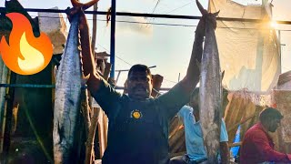 KASIMEDU SELVAM🔥MONSTER VANJARAM FISH🐟 CUTTING VIDEO💥 #kasimeduselvam #fishcutting #youtubeshorts