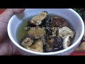 easy vegan recipe ginisang monggo