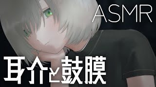 ASMR No Talking｜耳介綿棒とゴリゴリ鼓膜耳かき👂（綿棒/金属/タオル）Ear Cleaning