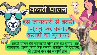 बकरी पालन व्यवसाय: छोटी स्थल के लिए कैसे शुरू करें? बकरी पालन के लिए सर्वश्रेष्ठ व्यवसाय विचार #goat