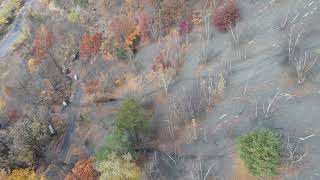 Glen Burn motorcycle climbs. Shamokin, PA. Oct 28, 2023