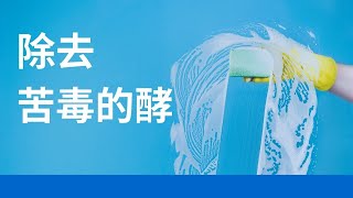 除去苦毒的酵 || 4-1-2021 || 樊鸿台牧师 || 神迹再现 || 爱修新媒