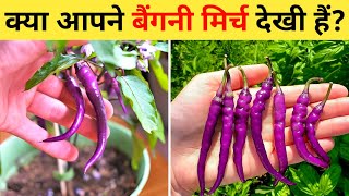 सबसे अनोखे फल और सब्जियां | Top 10 Fruits \u0026 Vegetables In The World | Fruits \u0026 Vegetables In Hindi