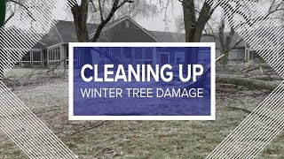 Tending To Winter Storm Damaged Trees