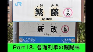 【秘境駅】駅名で近鉄打線組んだ　普通列車の醍醐味　鉄道旅絵巻② Part18 (土佐北川～繁藤～新改～高知)【JR四国】