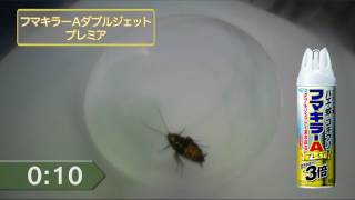 【殺虫効力実験】フマキラーAダブルジェットプレミア（クロゴキブリ）