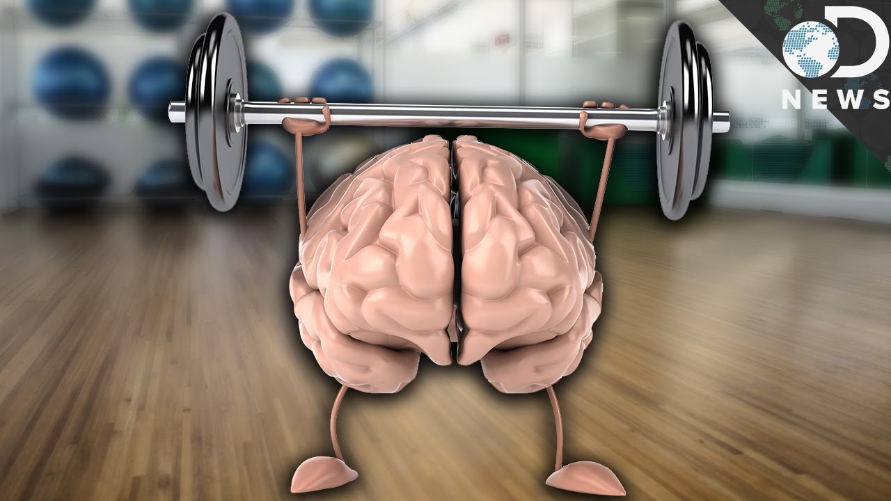 How Exercise Improves Your Memory Youtube