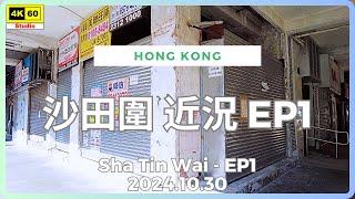 沙田圍 近況 EP1 4K | Sha Tin Wai - EP1 | DJI Pocket 2 | 2024.10.30