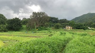 ( 香港郊遊 ) 鶴藪 - 沙螺洞 - 鳳園 鶴藪至鳳園 鶴藪水塘 具特殊科學價值地點 北區行山 香港行山