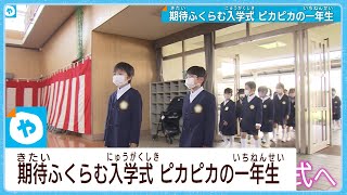 桜も祝福　京大で…小学校で…晴れやかに入学式