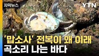 [자막뉴스] 믿기 힘든 전복 상태...\