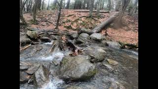 纽约Catskill mountain 冬季露营