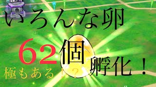 【ドラクエウォーク】いろんな卵62個孵化させた結果。