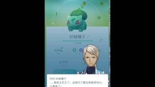 POKEMON GO! 2017 中文化紀念 妙蛙種子 妙蛙草 進化 妙蛙花 IV100%