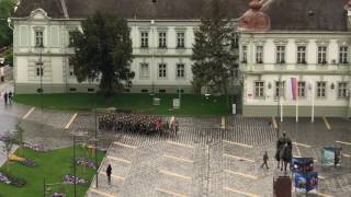 Vojnici pevaju u Zrenjaninu : Marširala Kralja Petra garda