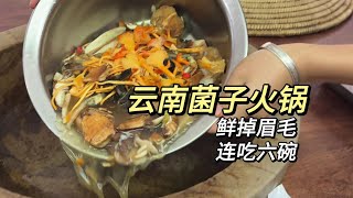 吃上野生菌火锅才算来到了云南啊！鲜掉眉毛！ 只恨自己没长两个胃啊！