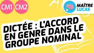 Dictée : l'accord en genre dans le groupe nominal CM1 - CM2 - Cycle 3 - Français - Orthographe