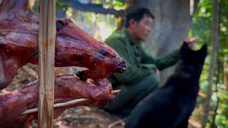 P2- Săn Tìm Thức ăn Cùng chú Chó , Tìm Nguồn Nước Uống Chỗ Trú ẩn Mới- Hieu TV