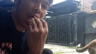 Prank belah duren bersam teman dari Bima di Lombok