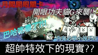 貓咪大戰爭EP146開眼功夫貓G來襲!!!超級難!!!