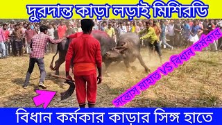 Mishirdih Kara Larai / মিশিরডি কাড়া লড়াই....