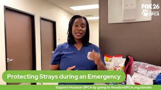 The Pet Pawcast - Hurricane Preparedness
