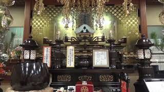 令和４年２月１３日の朝参詣【本門佛立宗・隆宣寺】