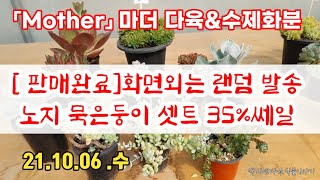 [판매완료]묵은둥이 파격가/할인된 셋트구성외는  랜덤발송#마더다육