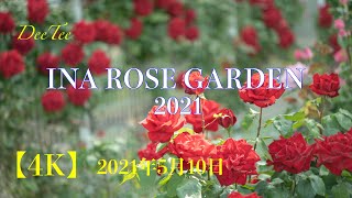 【4K 伊奈町バラ園2021】400種類5000株INA ROSE GARDEN2021