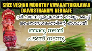 നെക്രാജെ തെയ്യംകെട്ടിന്റെ ഭാഗമായി|ഞാറു നടൽ ചടങ്ങ് നടന്നു|#kasaragod|SATHEESH RAJ BDK