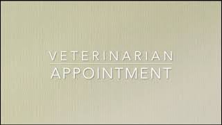 BCS Spay Introduction to TNR