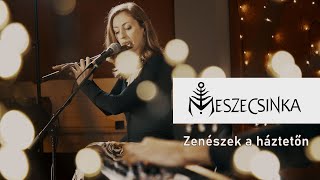 Meszecsinka // Zenészek a háztetőn