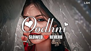 Oodhni - Slowed + Reverb Tere Naam | Udit Narayan, Alka Yagnik | Odhani odh ke nachu  | LSM