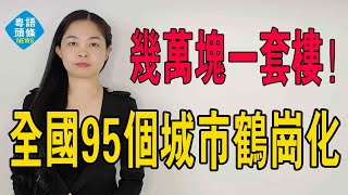 幾萬塊一套樓！全國95個城市鶴崗化，年輕人的退路，投資客虧本離場！城市空心化，房價暴跌，白送無人要！#大灣區樓盤 #鶴崗 #白菜價 #房價