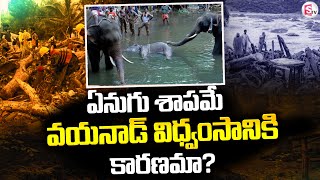 ఏనుగు శాపమే వయనాడ్ విధ్వంసానికి కారణమా? | Wayanad | Kerala Landslide |