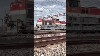 JR貨物 #DE11 2003 Japanese Diesel Locomotive @JR相模貨物駅（平塚）#shorts