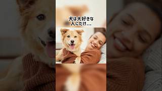 犬は大好きな人にだけ…😭｢犬の気持ち｣知って損しない犬の雑学🤫#shorts#dog#trivia