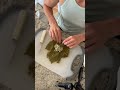 How to Roll Grape Leaves (Dolmades)