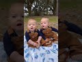 😃 cute twins baby boys 😃 | #shorts #cute #twins #baby #viral #ytshorts