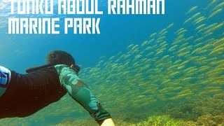 Mamutik Island, Manukan Island \u0026 Sapi Island, Sabah | Freediving Experience