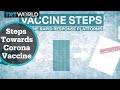 What are the crucial steps in finding a vaccine for Covid-19?