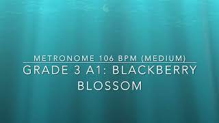 A1 Blackberry Blossom (medium tempo) Violin and piano accompaniment ABRSM Violin Grade 3 2024